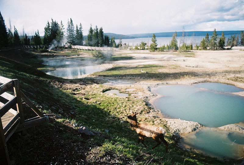 Beautiful Yellowstone