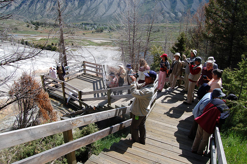 People doing photography while on tour to Yellowstone