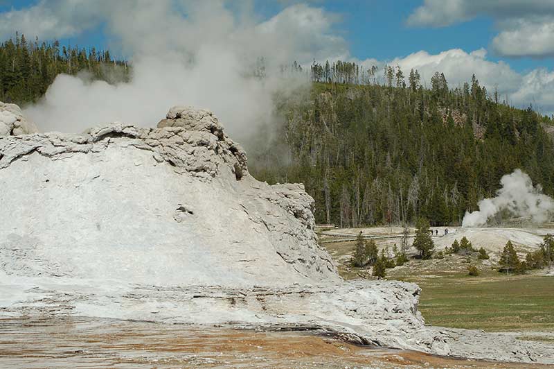 Yellowstone Geyser and trees behind