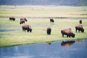 teton hole
