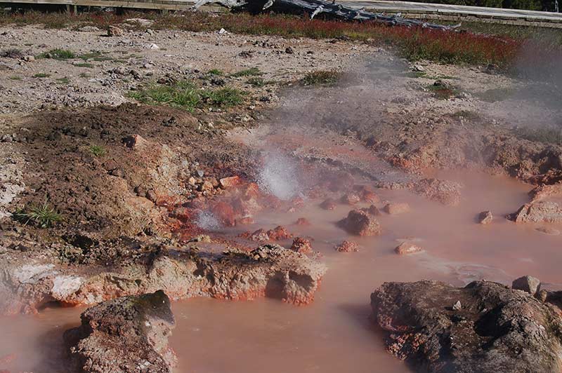 Hot spring in Yellowstone