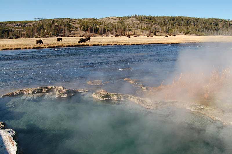 Yellowstone Prismatic Spring