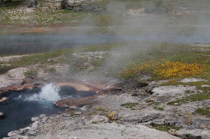 Yellowstone hot Spring