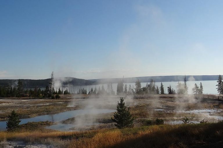 Yellowstone wildlife tour from Bozeman - Yellowstone Tours