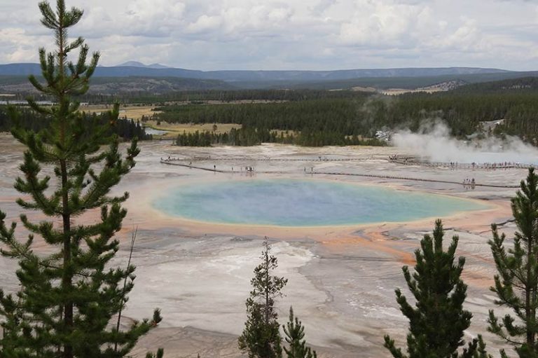 One Day Yellowstone Tour from Big Sky Yellowstone Tours