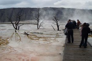 yellowstone quickie