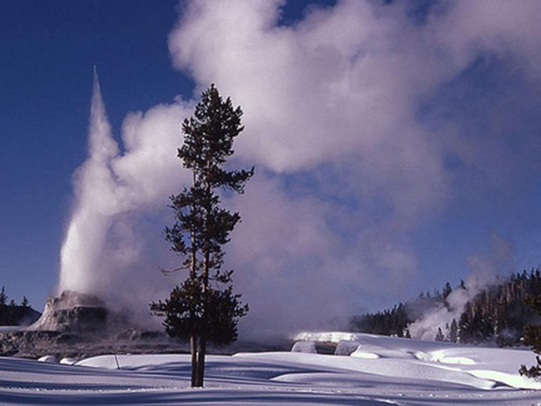72 Hour Winter Yellowstone Tour From Salt Lake City Yellowstone Tours