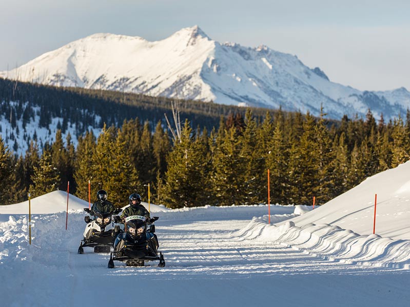 yellowstone winter tours snowmobiles