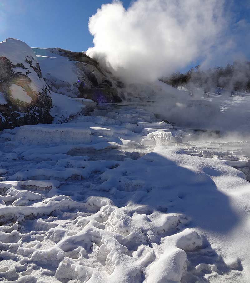 Winter Yellowstone Tours From Rexburg Yellowstone Tours